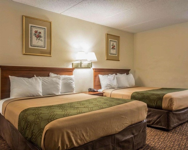 Econo Lodge Inn & Suites Lugoff image 2