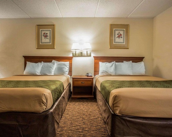 Econo Lodge Inn & Suites Lugoff image 6
